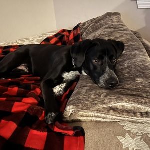 Meet your Posher, Chris